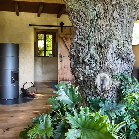 Baumhaus Beletage * Bockhop