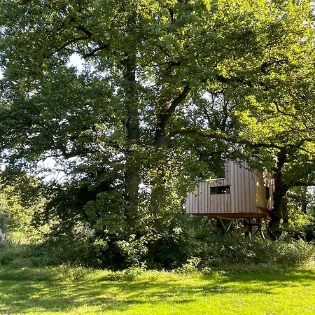 Baumhaus Beletage Bed & Breakfast Bockhop