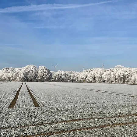 Baumhaus Beletage Bed & Breakfast