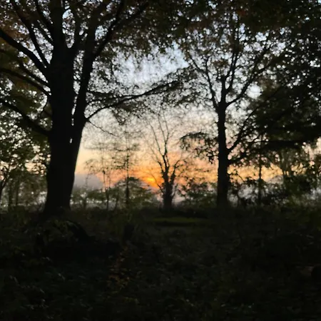 Baumhaus Beletage * Bockhop