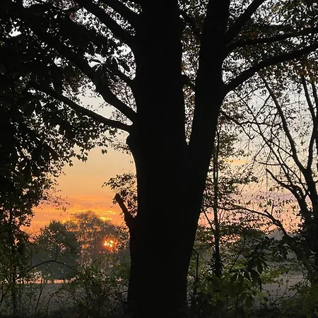 Baumhaus Beletage Bockhop