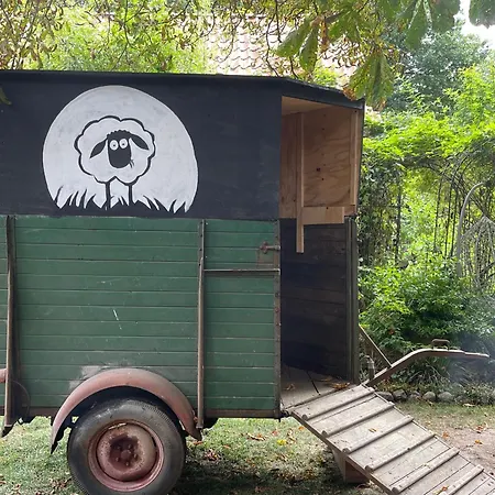 Bed & Breakfast Baumhaus Beletage