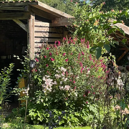 Baumhaus Beletage Bockhop