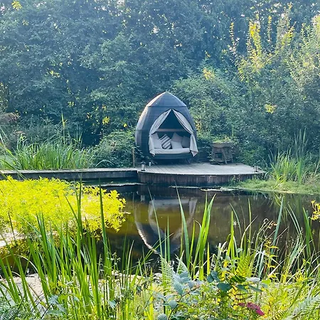 Bed & Breakfast Baumhaus Beletage Bockhop