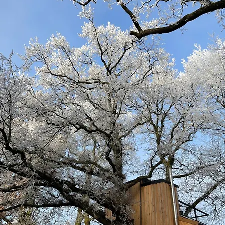 Baumhaus Beletage Bed & Breakfast *