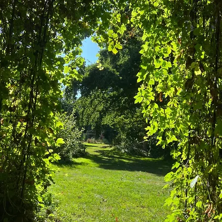 Bed & Breakfast Baumhaus Beletage *