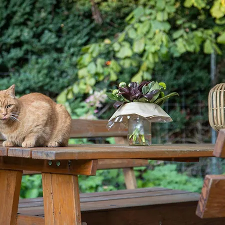 Baumhaus Beletage Bockhop