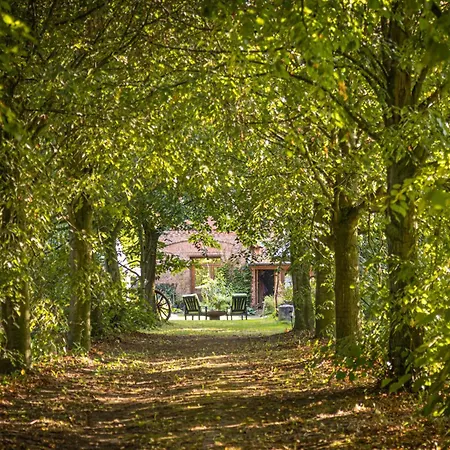 Baumhaus Beletage Bed & Breakfast Bockhop